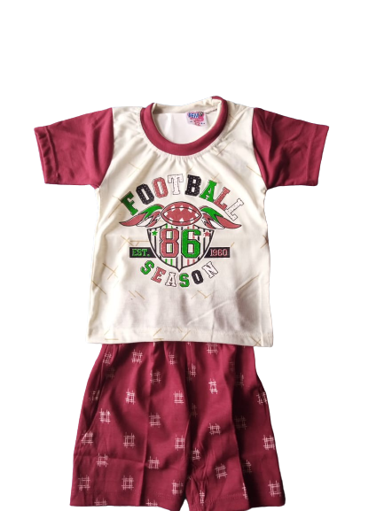 Boys Printed T-shirt With Shorts 