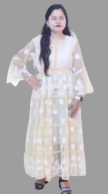 Chikankari  Georgette Gown