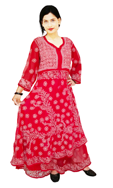 Lucknowi Chikan Georgette Bajirao Gown