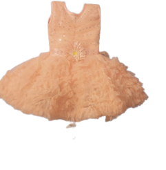 Girls Peach Flared Dress