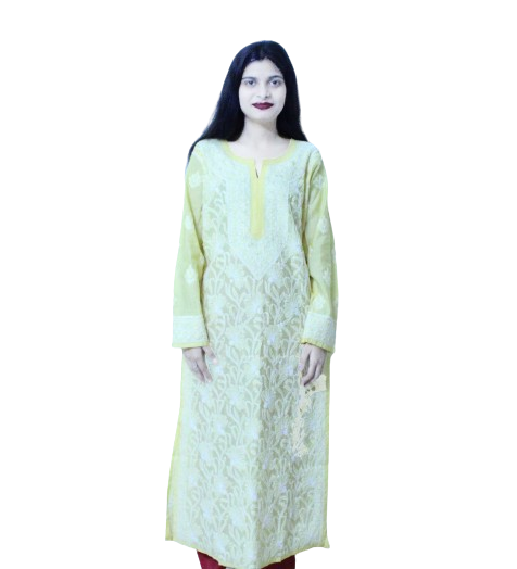 Lakhnavi Chikankari Kurtis